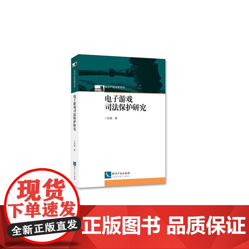 电子游戏司法保护研究 孙磊 知识产权出版社 正版书籍高清大图