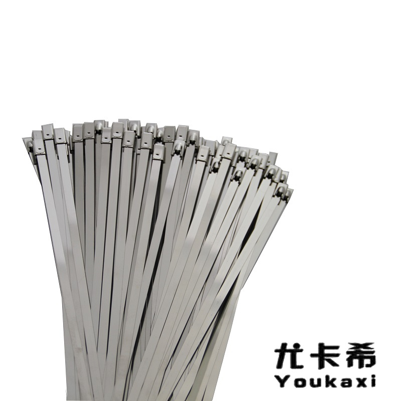 尤卡希(Youkaxi) 不锈钢扎带 4.6*650mm 100条/包