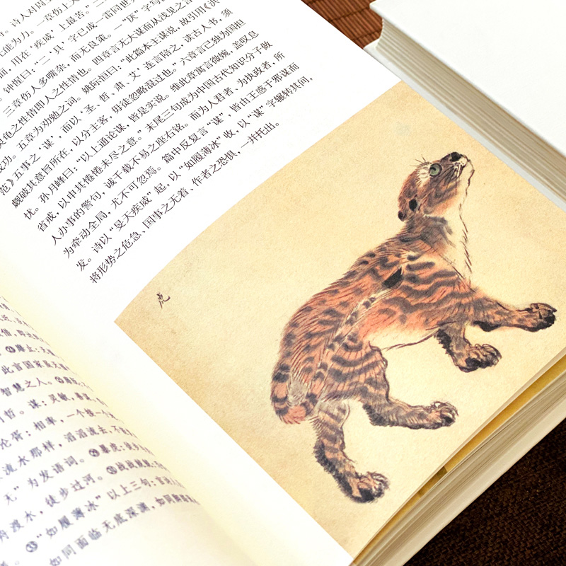 诗经:风雅颂 [正版]诗经:风雅颂 全三册 注释注音赏析 函盒全彩珍藏版 305篇诗经原文 详尽详细 零障碍读懂千年文高清大图