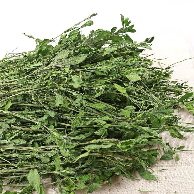 苜蓿草紫花苜蓿草幼兔饲料兔子草荷兰猪草龙猫草牧草兔粮苜宿草