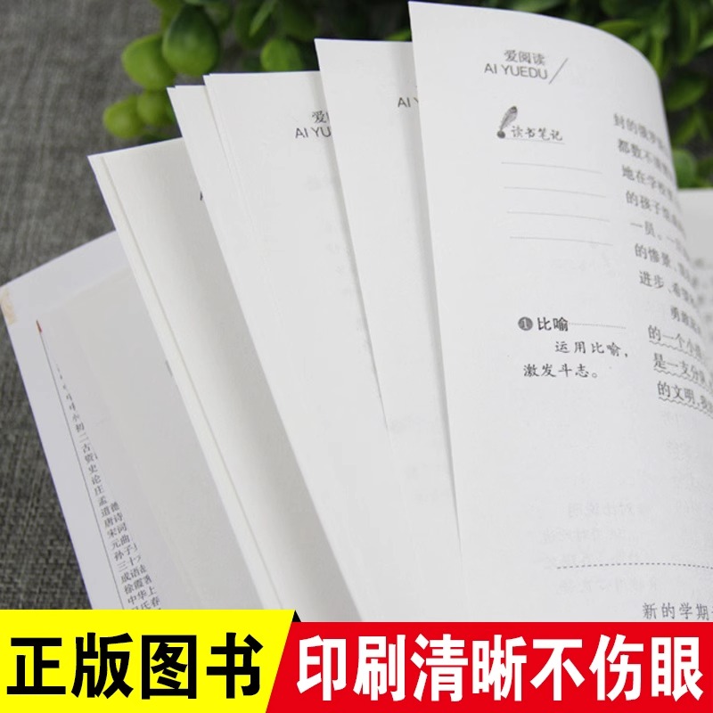 可爱的中国 [正版]可爱的中国方志敏原著 五年级上册必读的课外书儿童文学读物红色经典革命故事书籍快乐读书吧小学生三四六年高清大图