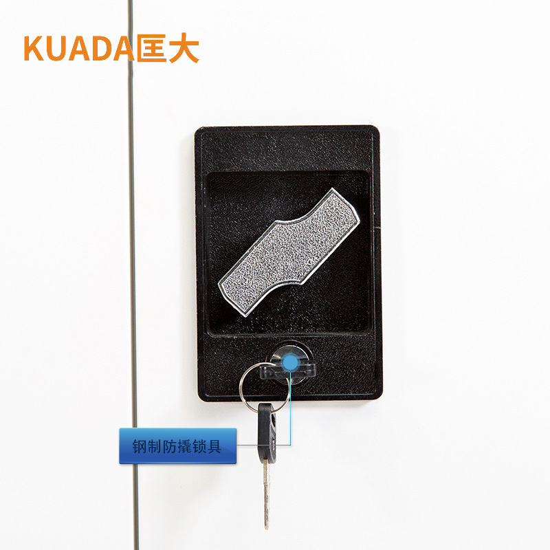 文件柜钢制办公铁皮柜资料档案柜文件柜两门KDG001