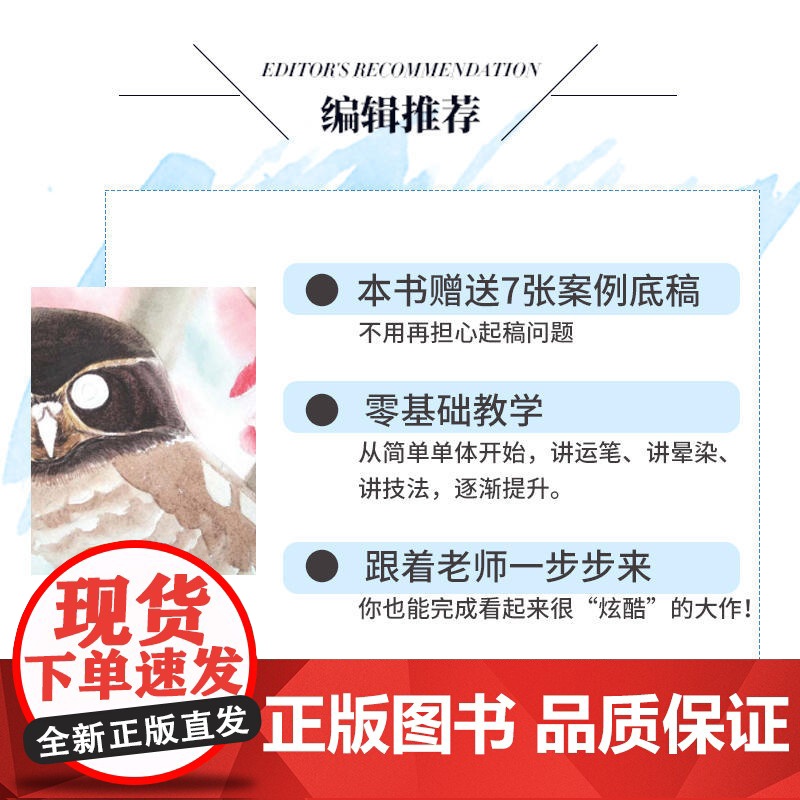 水彩花鸟绘——水彩画基础入门高清大图