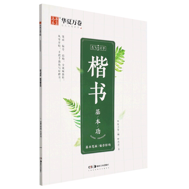 [正版]楷书基本功 志飞习字 叶法志 湖南美术出版社 书法篆刻 9787535695383高清大图