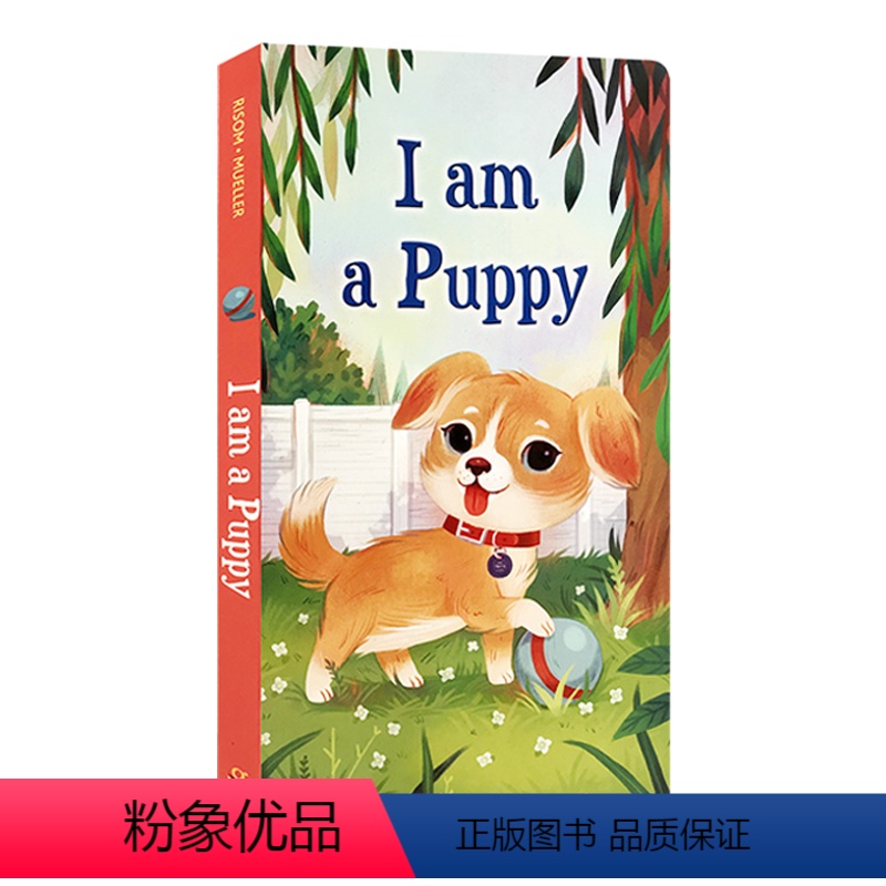 I am a Puppy 我是一只小狗 [正版]英文原版绘本brown bear棕色的熊i am a bunny我是一只