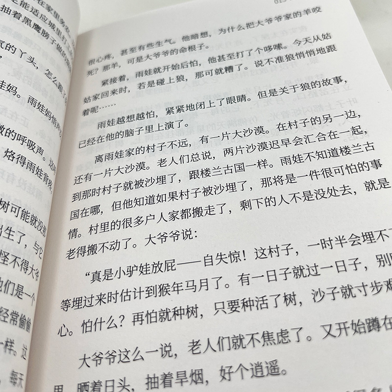 雨娃 [正版]丨雨娃 陈亦新著 让孩子内心成长的故事书 以孩子的视角了解中国西部农村 本土原创儿童文学 适合中国儿童青少高清大图