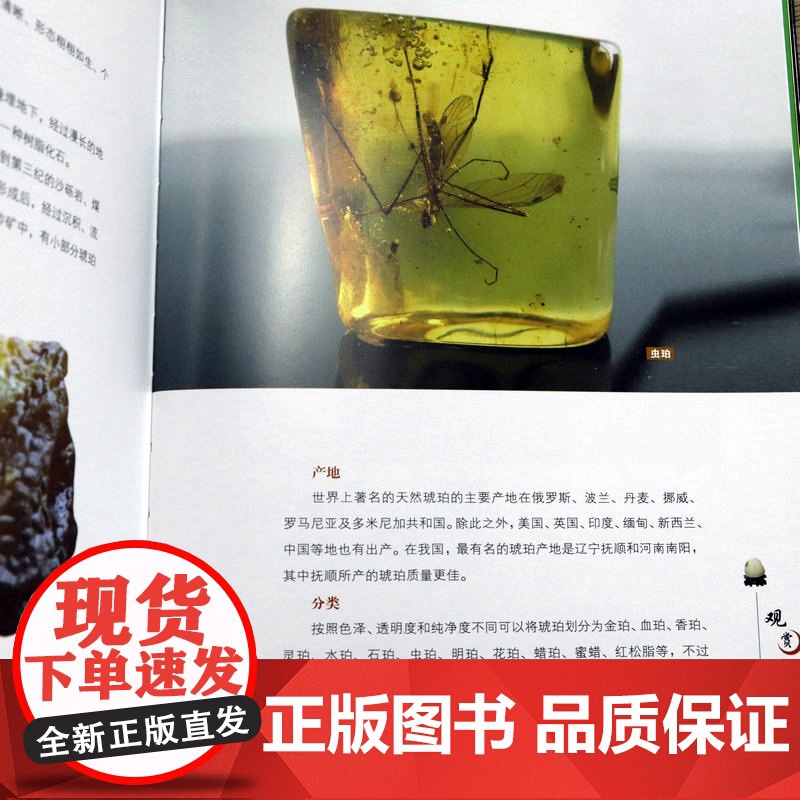 世界高端文化珍藏图鉴大系:观赏石收藏与鉴赏(软精装)世界高端文化珍藏观赏石收藏图鉴书籍高清大图