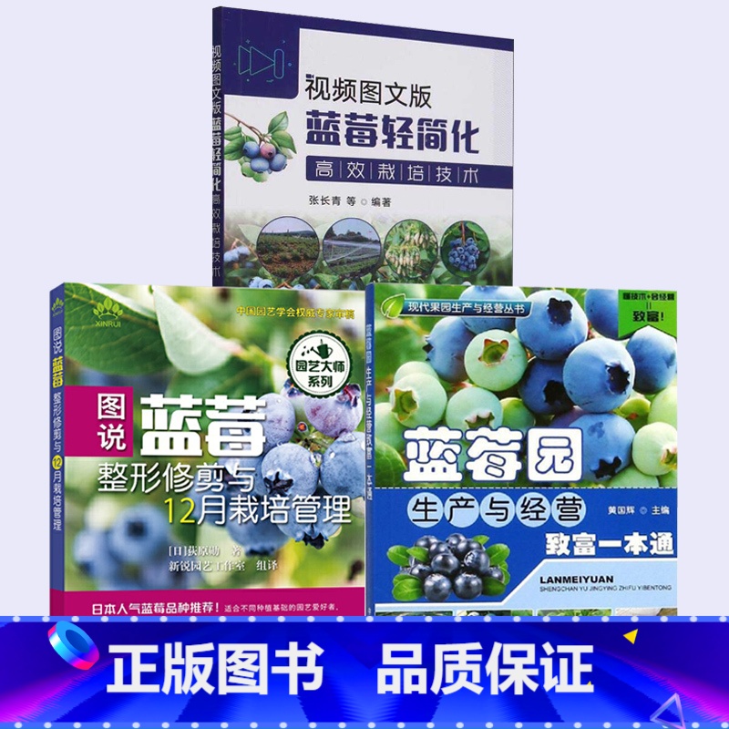 【正版】全3册图说蓝莓修剪与12月栽培管理+视频图文版蓝莓轻简化高效栽培技术+蓝莓园生产与经营致富一本通 蓝莓种植