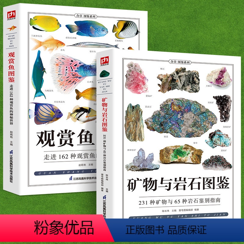 【正版】铜版纸全2册观赏鱼图鉴+矿物与岩石图鉴鱼缸观赏鱼养殖热带海水鱼淡水鱼冷习性辨认各种矿物与岩石自然科学收藏鉴赏岩