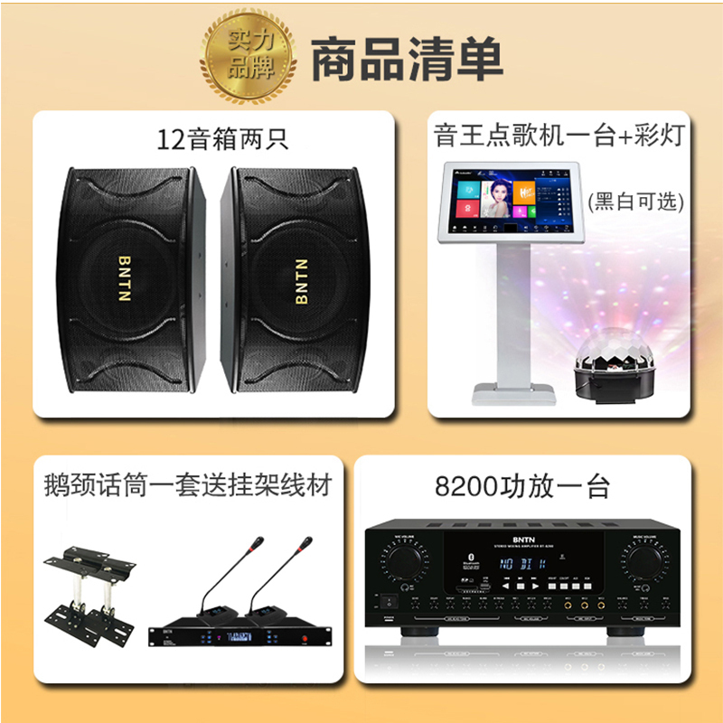 奔腾(BNTN)家庭影院KTV音响专业会议鹅颈话筒全套 点歌机触摸屏 家用语音智能点歌机蓝牙卡包音箱卡拉BTK12套装