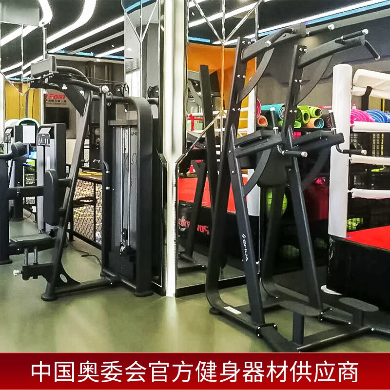 舒华健身器材健身房器械 单双杠及提腿腹肌组合练习器SH-G6888单位:台高清大图