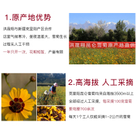 洪晟翔雪菊40g/瓶 新疆雪菊花花朵 昆仑雪菊花茶 花瓣金黄 汤色绛红 无熏硫 保健茶饮