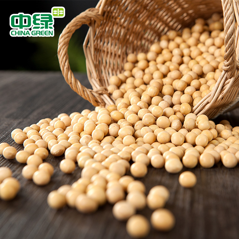 中绿东北五谷杂粮农家自产/黄豆400g*2袋
