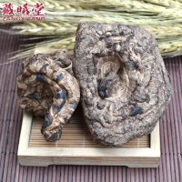 藏曦堂虎掌菌 干虎掌菌 獐子菌 西藏虎掌菌 野生虎掌菌 干獐子菌 虎掌菌（獐子菌）100克*1袋