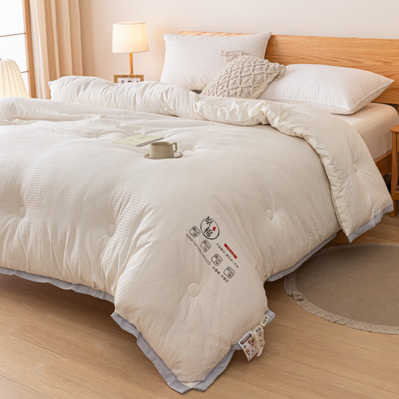 啄木鸟plover冬暖夏凉四件套纯棉亲肤抗菌防螨舒适设计床上用品啄木鸟(PLOVER)泡泡纱豆豆被 ZMN-DB006高清大图