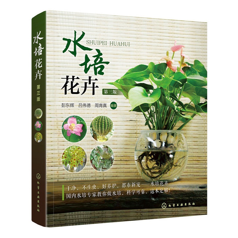 [醉染正版]水培花卉 水培植物水养养护步骤书籍 绿植常识日常管理 水仙风信子百合无土栽培DIY瓶子种植种花养花观赏 选购高清大图
