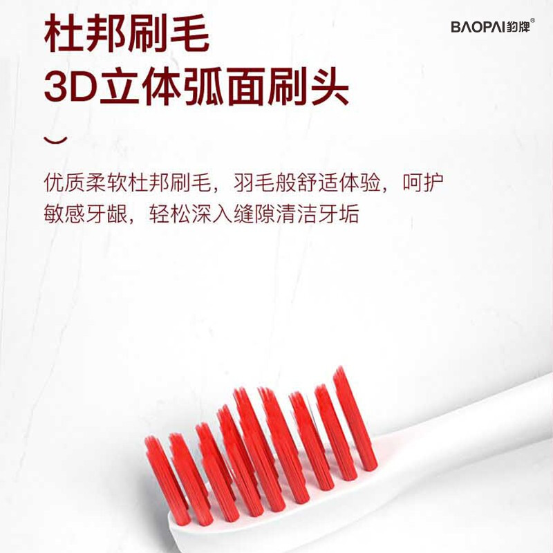 豹牌 电动牙刷 BP-DT09高清大图