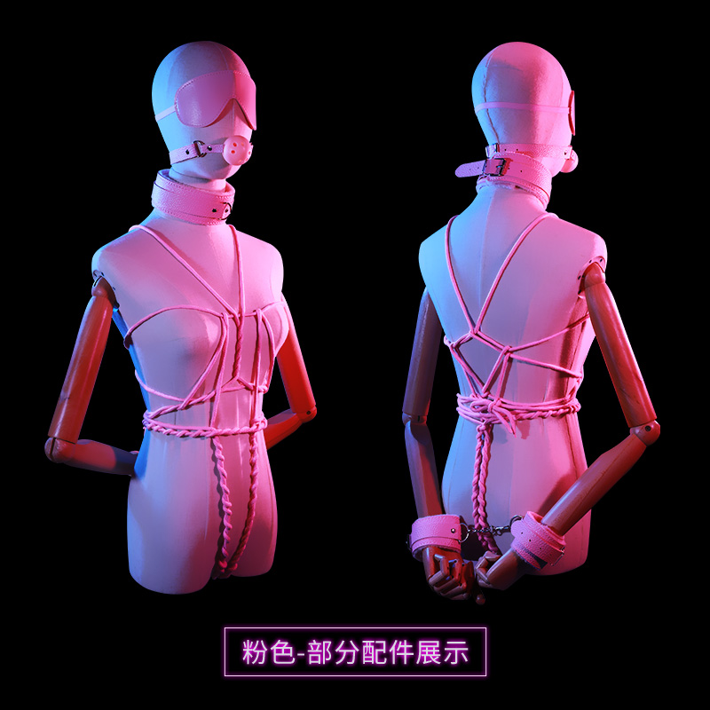 谜姬SM用品情趣道具10件套装调情趣工具玩具捆绑束缚成人性用品 绳子口塞球眼罩项圈乳夹鞭子牵引绳脖套手脚束缚
