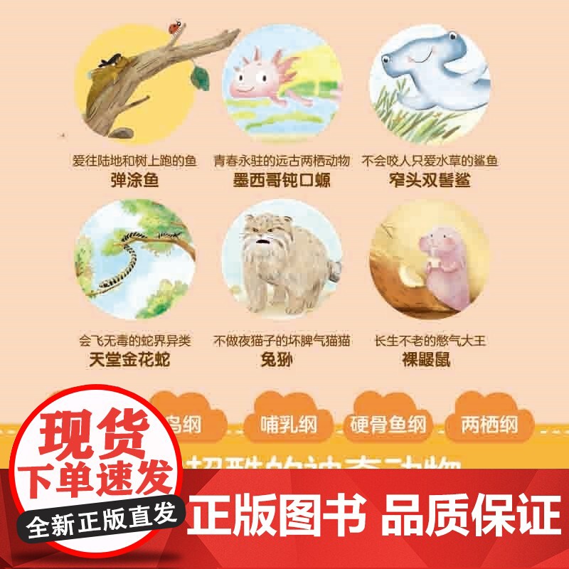 我的朋友太酷啦:地球上神奇又可爱的动物们 海伦娜·哈拉斯托娃著 代入感满满的故事 解答孩子的真实困惑高清大图