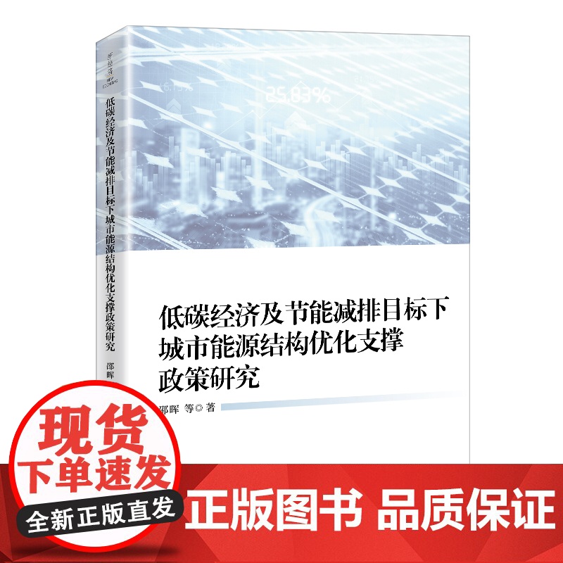 低碳经济及节能减排目标下城市能源结构优化支撑政策研究高清大图
