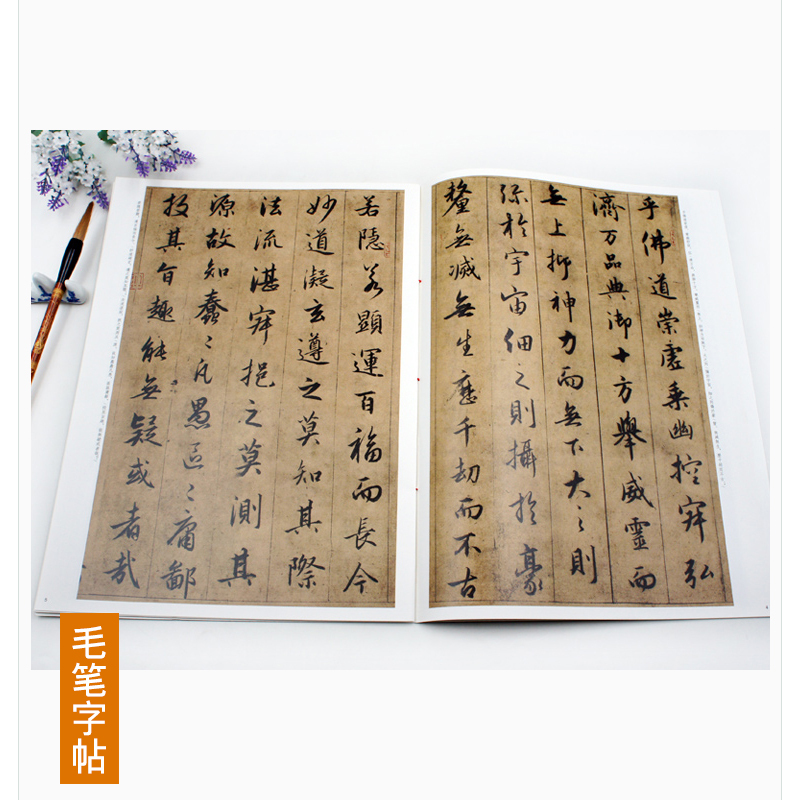 [醉染正版]现货包邮 赵孟頫临圣教序 中华经典碑帖彩色放大本33 中华书局 集王圣教序 行书法帖碑帖 毛笔眺字帖贴 赵孟