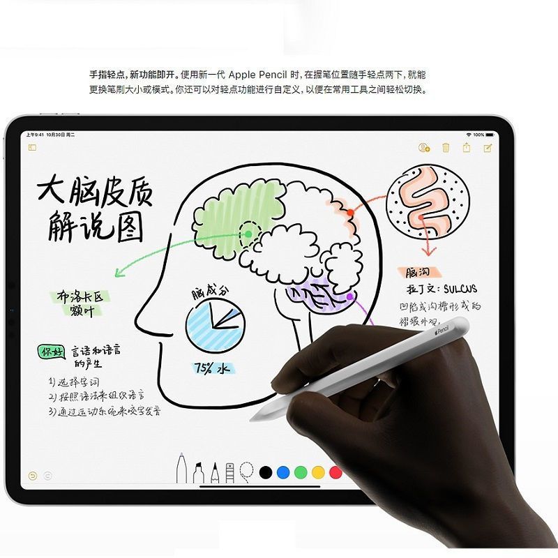 Apple Pencil (二代)手写笔 适用于11/12.9 英寸 iPad Pro/ iPad Air 第四代
