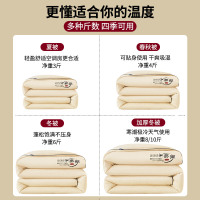 大豆纤维被子冬被春秋被被芯单人棉被空调被学生夏季夏凉被