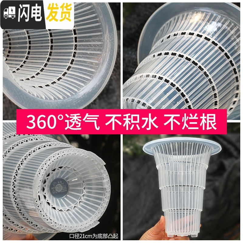 三维工匠透明兰花专用盆高透气双层控根塑料超紫砂陶瓷沥水罩兰花盆 口径13cm黑色兰花内盆[透气孔] 中等花盆容器高清大图