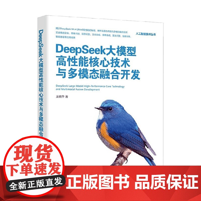 DeepSeek大模型高性能核心技术与多模态融合开发 王晓华 著 计算机与互联网高清大图