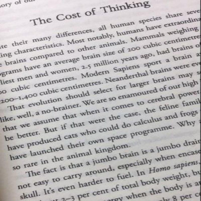 人类简史英文版 Sapiens: A Brief History of Humankind 书籍 人类简史英文版 Sap