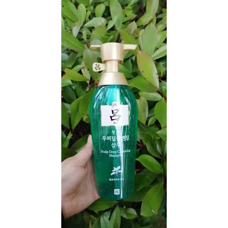 洗发水-绿吕(RYO)止痒控油去屑洗发水500ml8159