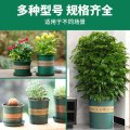 花盆盆家用塑料加厚阳台盆景多肉加仑盆绿萝专用盆栽月季草莓