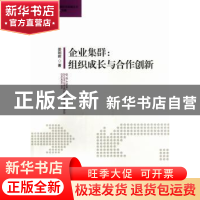 企业集群:组织成长与合作创新