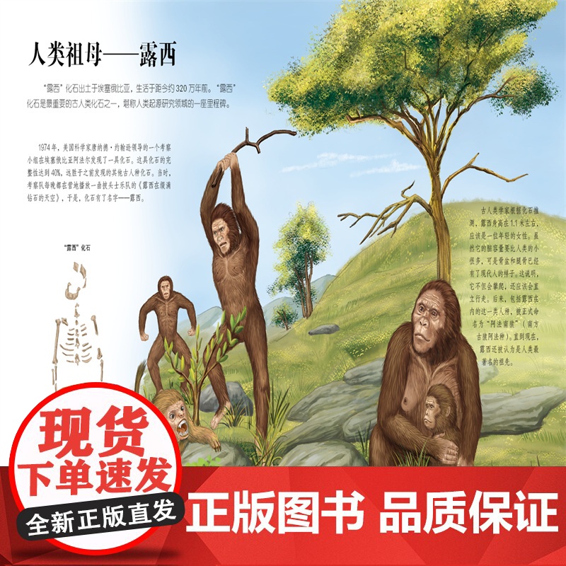 生命简史 穿越地球46亿年 从猿到人 6-12-15岁儿童中小学生青少年科普读物 宇宙起源地球形成生命诞生史前世界探索图高清大图