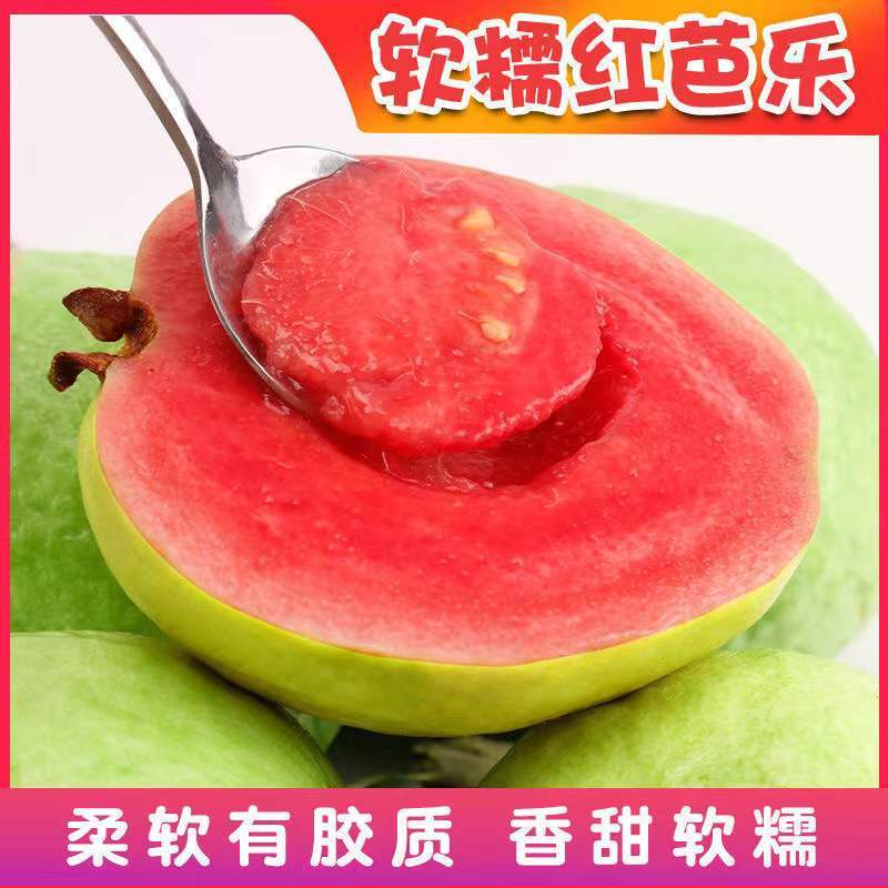 红心芭乐番石榴 5斤 单果150g以上 新鲜水果 胭脂红肉当季特产 陈小四水果