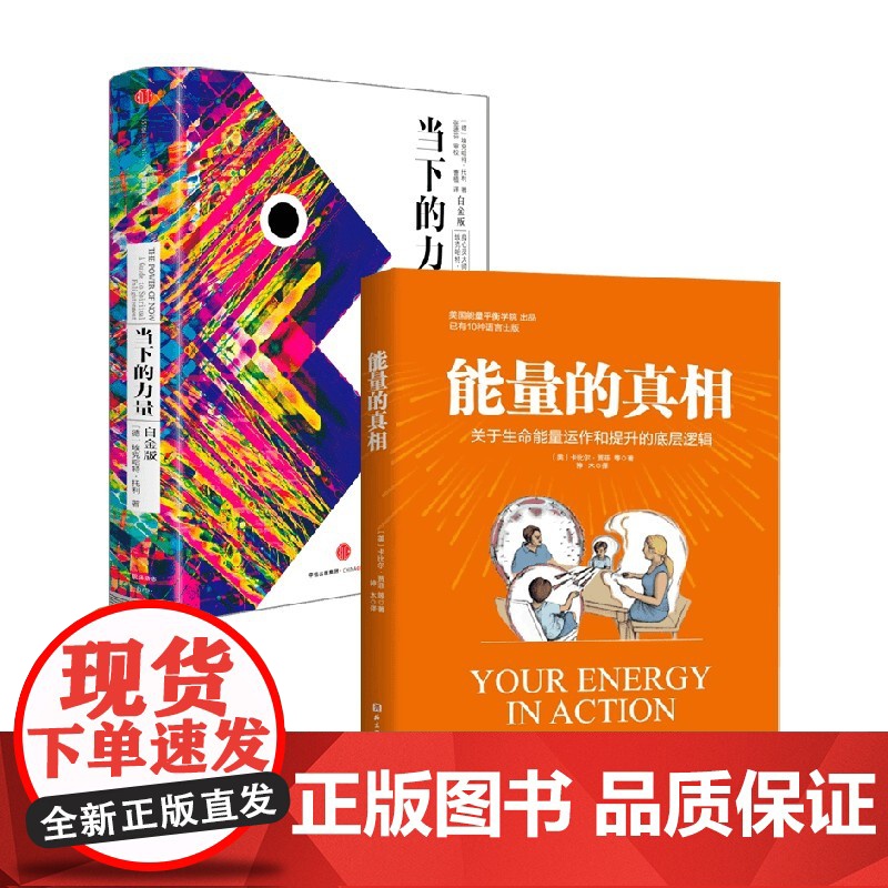 能量的真相+当下的力量 卡比尔·贾菲 著 心理学高清大图