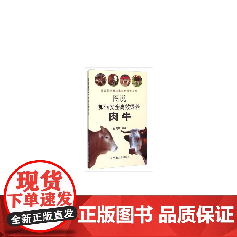 图说如何安全高效饲养肉牛(高效饲养新技术彩色图说系列)高清大图