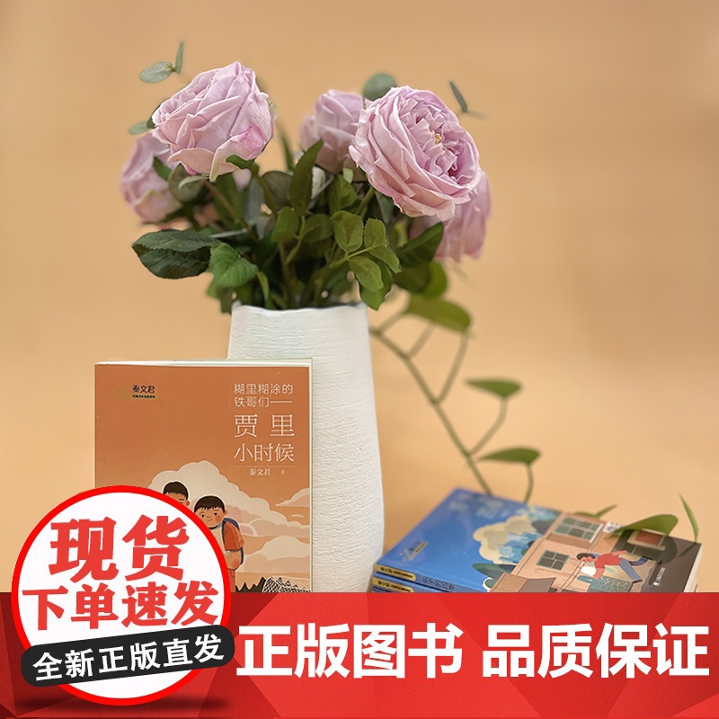 秦文君老师作品六本 秦文君著 贾里贾梅作者秦老师执笔 校园成长金典系列 适读年龄8-10岁 中小学读物 上海译文出版高清大图