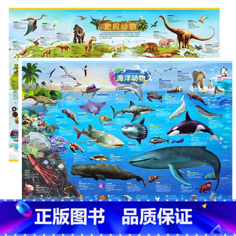 [共2张]史前动物+海洋动物 [正版]2024新版2张 史前动物地图+海洋动物地图墙贴儿童房超大挂图大尺寸高清远古恐龙书高清大图
