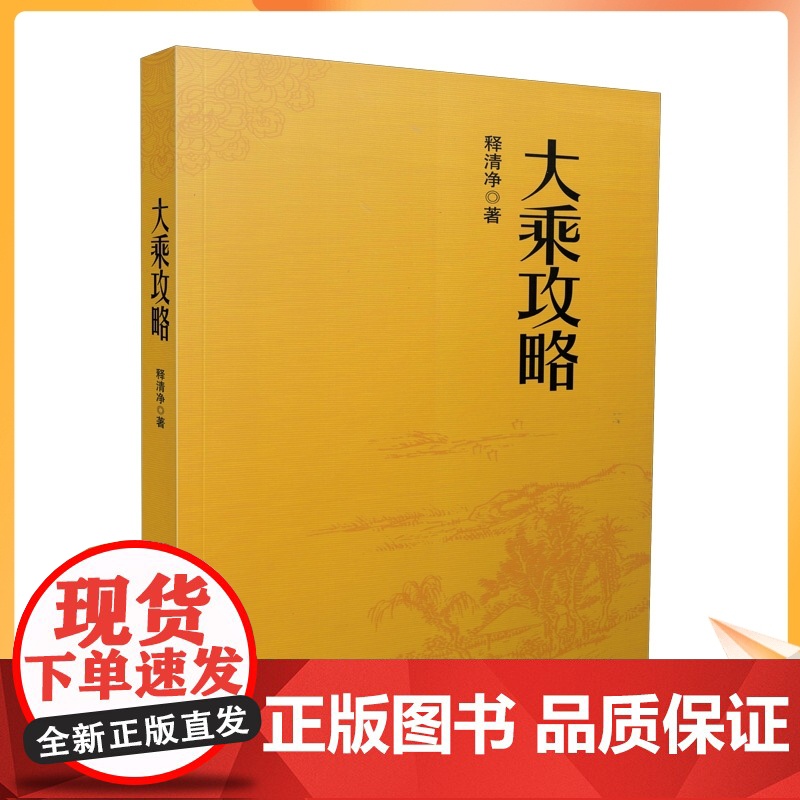 正版 大乘攻略 白话简体横排 释净空/著 宗教文化出版社汉传佛教图书佛教经典书籍高清大图