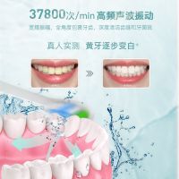 舒客(Saky)刷头套餐电动牙刷G3317粉色无线充电舒克高频超声波震动美白情侣便携防水牙刷