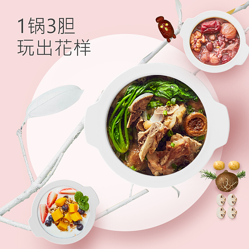 九阳(Joyoung)九阳电炖锅D-16G2单个装