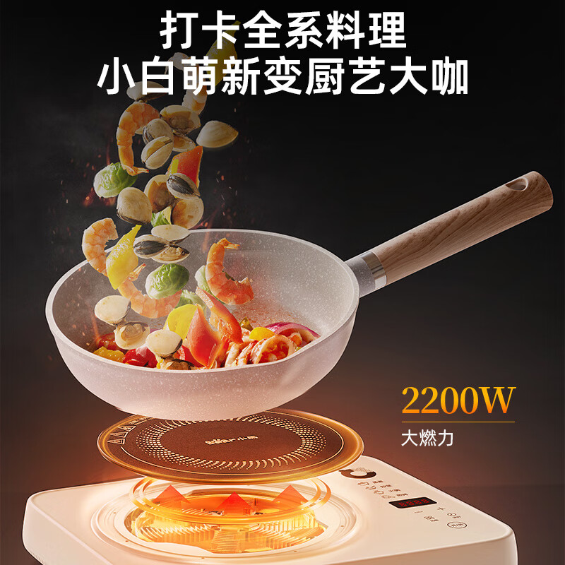 小熊(Bear)家用电磁炉2200W大功率 DCL-B22H5(规格:台)高清大图