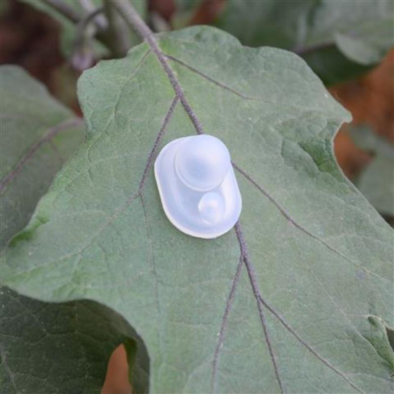 苏泊尔KC30 35 40AR1 真空保温弹跳杯盖晶韵保温壶盖子水杯摩卡 透明 上盖垫圈一个