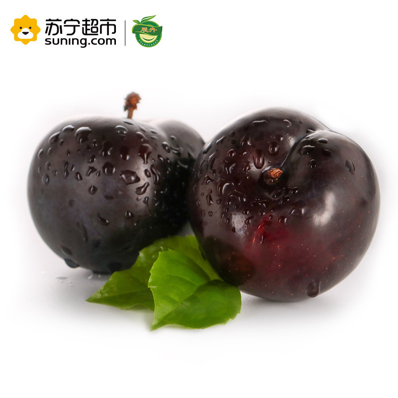 展卉 国产黑布林李子 1kg盒装 单果约90-120g 冷藏国产浆果类/核果类 新鲜水果