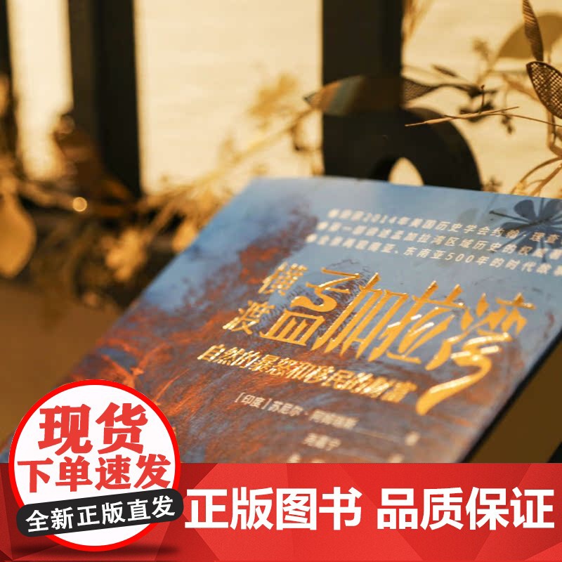 好望角丛书 横渡孟加拉湾 自然的暴怒和移民的财富南亚东南亚史关于经济整合和移民迁徙的大型故事历史文化书籍高清大图