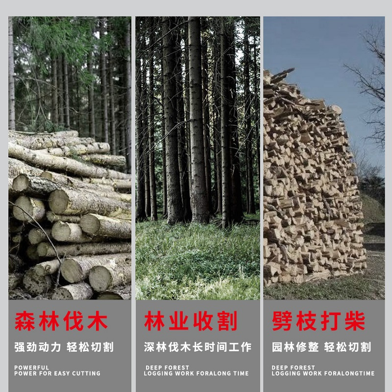 泰拉德应急救援工具手持便携式园林机械大功率农业伐木链锯2二冲程