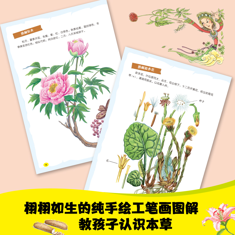 漫画本草纲目全6册 [正版]漫画本草纲目画给孩子的博物大百科全6册 草部 木部果部菜土石部 精美手绘加趣味漫画让孩子轻松高清大图