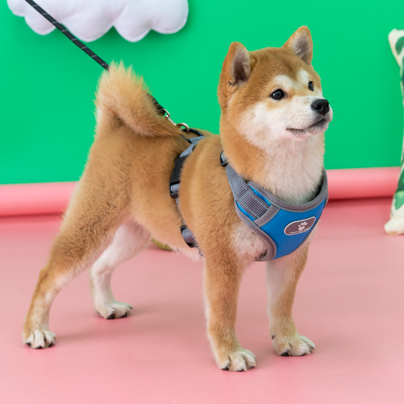 狗狗胸背带牵引绳背心式背带防爆冲中型犬宠物用品柴犬项圈小型犬