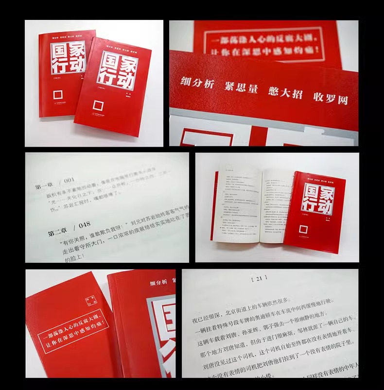 [醉染正版]国家行动 程琳著 同名电视剧张译主演原著小说公务员必读自省读物现当代文学 长篇反腐刑侦追问脊梁狂飙同类高清大图